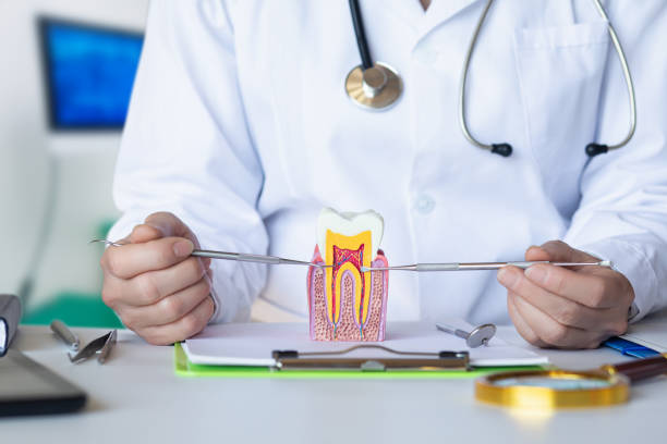 Best Emergency Broken Tooth Repair in Iroquois Point, HI